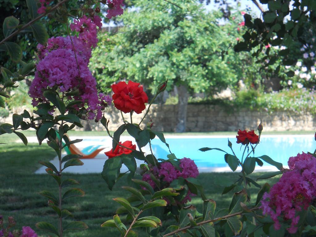Villa Il Giardino Dei Carrubi Donnalucata  Habitación foto